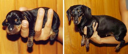 Cum am fost şi cum suntem. Pozele din copilărie, refăcute la maturitate 219418