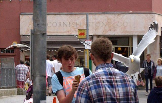 S-a întâmplat sub ochii a zeci de martori. "Este cel mai rapid hoţ pe care l-am văzut vreodată" 219529