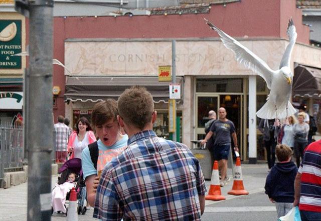 S-a întâmplat sub ochii a zeci de martori. "Este cel mai rapid hoţ pe care l-am văzut vreodată" 219531