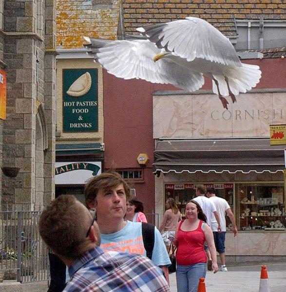 S-a întâmplat sub ochii a zeci de martori. "Este cel mai rapid hoţ pe care l-am văzut vreodată" 219534