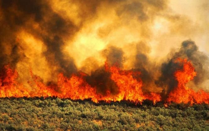 Incendiu de vegetaţie în Otopeni, în apropierea aeroportului