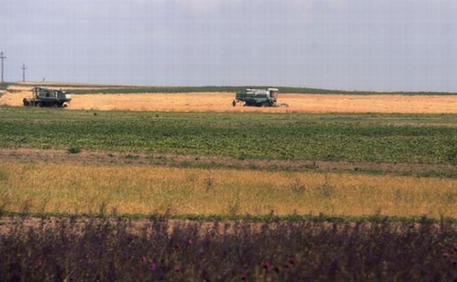 Agricultura salvează România. Avem recolte-record în acest an