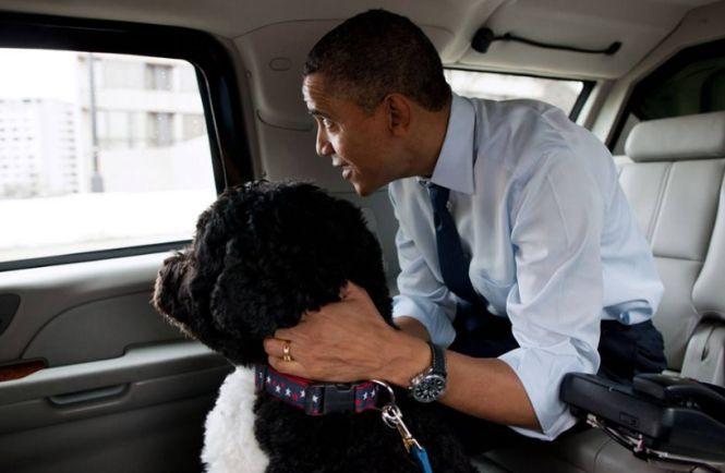 Cel mai puternic om de pe planetă, în vacanţă. S-a retras pe o insulă exclusivistă 221225