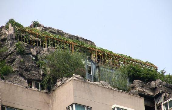 Şi-a făcut propriul său MUNTE pe terasa blocului în care locuieşte 221303