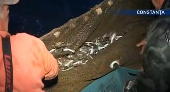 Pescarii constănţeni se plâng că prind tot mai puţin peşte în fiecare an