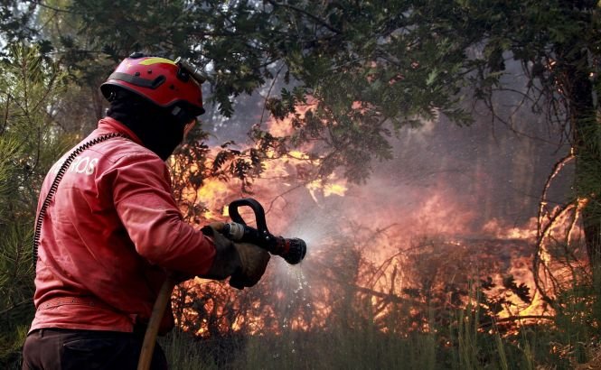 Puternice incendii de pădure în Portugalia: Peste 850 de pompieri, în luptă cu flăcările