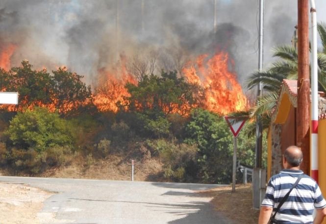 Incendii în serie, pe continentul european. Pompierii mor în lupta istovitoare cu focul
