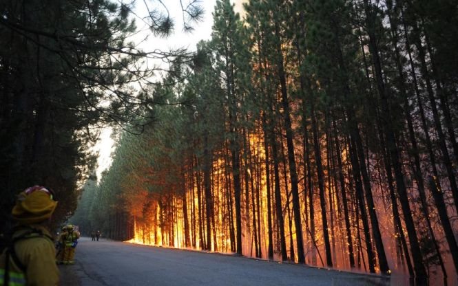 Incendiile de pădure din California se intensifică. Flăcările ameninţă oraşele din zonă