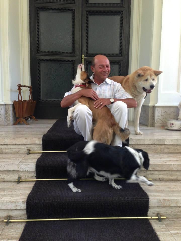 Băsescu a publicat fotografii cu câinii adoptaţi de el de pe stradă: "Dacă îi iubeşti cu adevărat, îi iei acasă" 223990