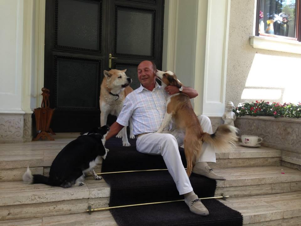 Băsescu a publicat fotografii cu câinii adoptaţi de el de pe stradă: "Dacă îi iubeşti cu adevărat, îi iei acasă" 223991