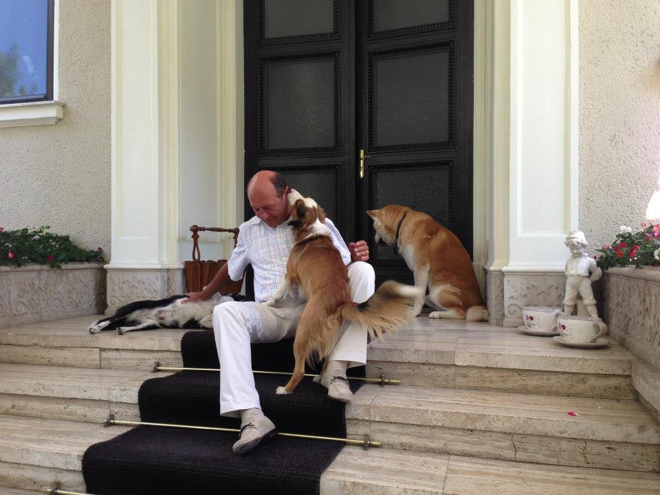 Băsescu a publicat fotografii cu câinii adoptaţi de el de pe stradă: "Dacă îi iubeşti cu adevărat, îi iei acasă" 223992