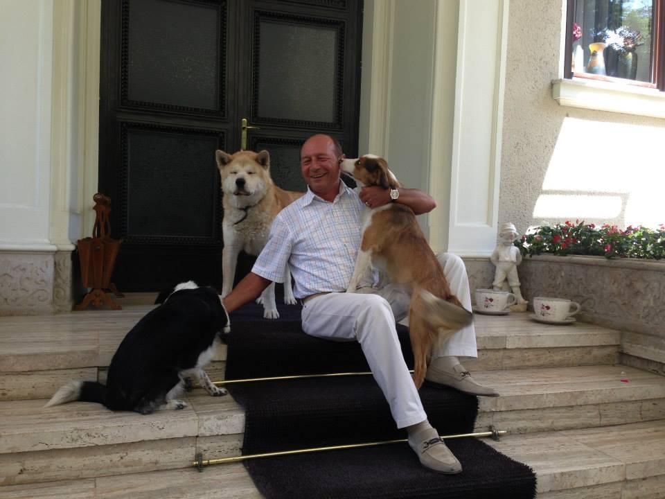 Băsescu a publicat fotografii cu câinii adoptaţi de el de pe stradă: "Dacă îi iubeşti cu adevărat, îi iei acasă" 223993