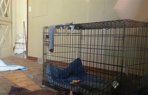 Caz cutremurător în Argeş: Şi-au închis fiica într-o cuşcă pentru câini dintr-un motiv banal