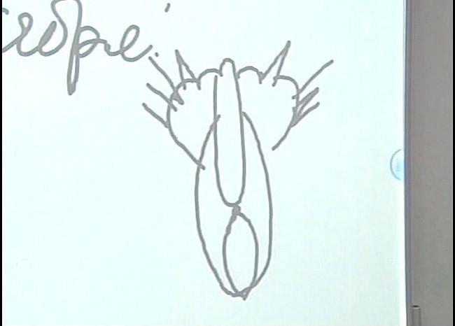 Ce a desenat Vladimir Putin cu degetul pe tablă, în faţa elevilor. Venise în inspecţie la ora de biologie 224034