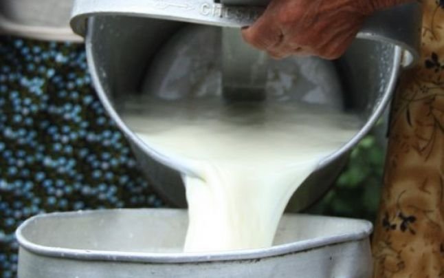 Laptele recoltat tradiţional, interzis din pieţe de anul viitor