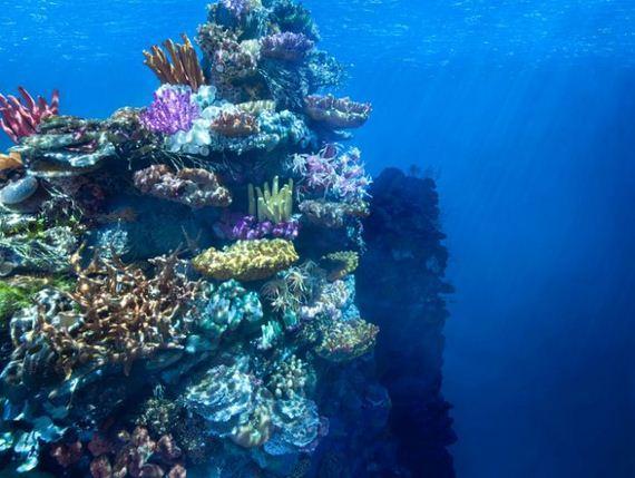 Ai jura că sunt reale. Peisaje spectaculoase în miniatură 224716