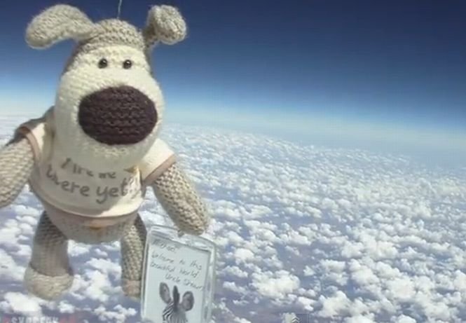 Space Puppy, câinele de pluş care a ajuns în spaţiu. Iată povestea lui