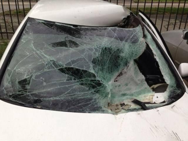 Ce s-a întâmplat la 10 SECUNDE după ce tatăl a făcut această poză. Este de-a dreptul şocant 225238