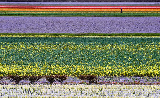Cele mai frumoase 28 de locuri din lume. Galerie FOTO 225378