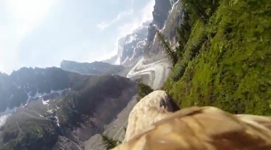 Imagini incredibile din Alpii francezi, de pe spatele unui vultur