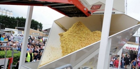 Cum arată un record mondial cu...cartofi prăjiţi