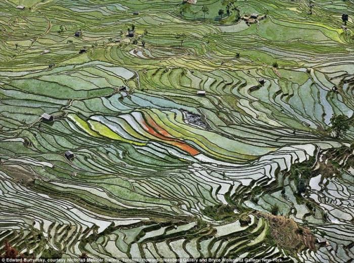 Imaginea surprinsă din SATELIT care arată ce se întâmplă într-o ţară din UE. "Trebuie luate măsuri urgente" 227230