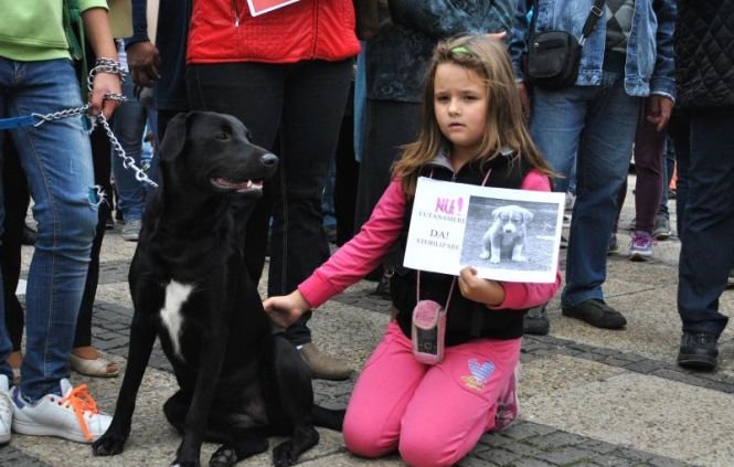 Protest  faţă de eutanasierea câinilor maidanezi, în Piaţa Universităţii