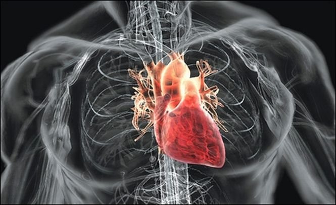 Bolile cardiovasculare îi omoară pe români mai mult decât cancerul. La fiecare 30 de secunde, un român moare de inimă