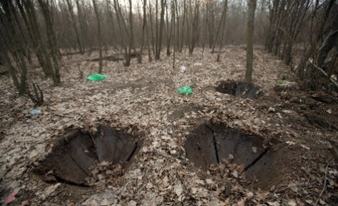 Pădurile României sunt defrişate pentru export. Jumătate din copacii tăiaţi sunt transformaţi în cherestea