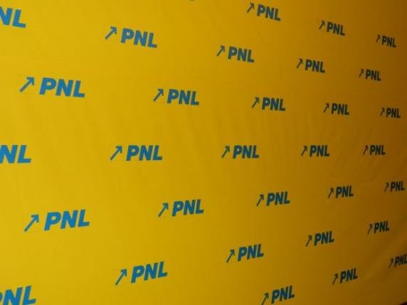 PNL caută ministru la Economie. Lista posibililor candidaţi pentru acest portofoliu