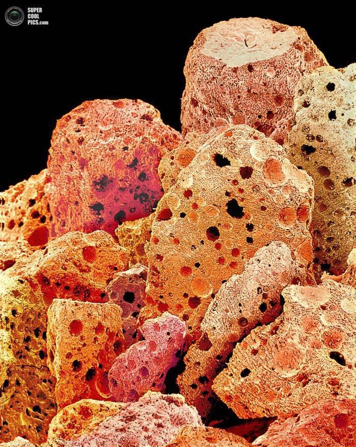 Alimentele, sub lupa microscopului. Câte ghiceşti fără să citeşti explicaţiile din fotografii? 230177