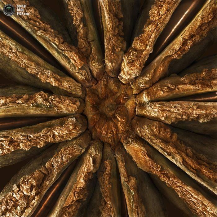 Alimentele, sub lupa microscopului. Câte ghiceşti fără să citeşti explicaţiile din fotografii? 230192