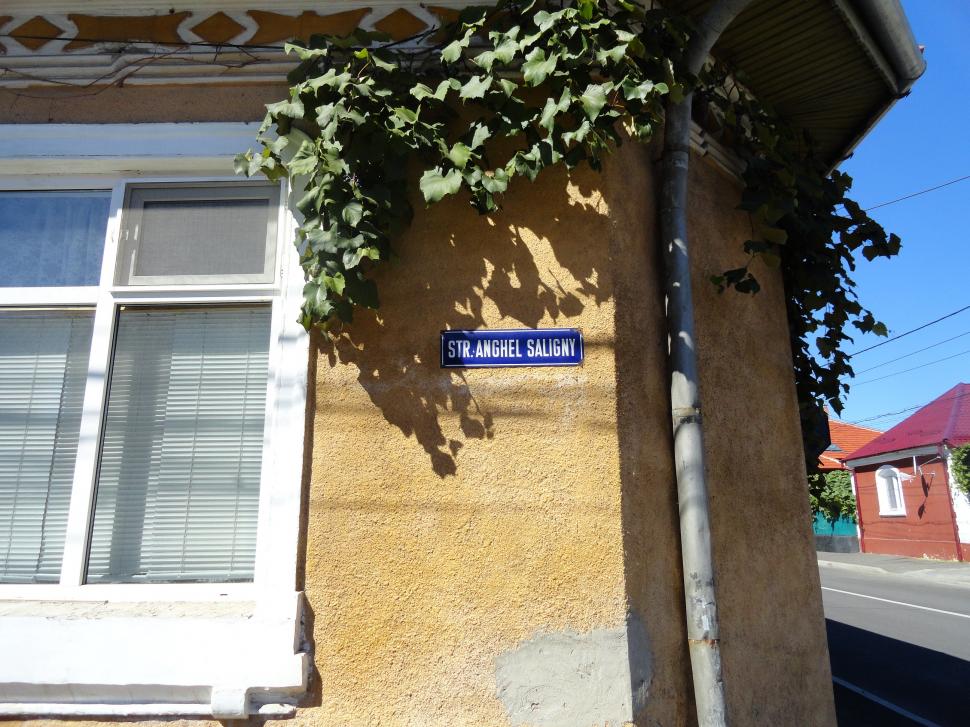 (P) Regio la Turnu Severin: o circulaţie mai fluidă, pentru o economie mai dezvoltată 230035