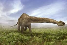 Scheletul unei femele de diplodocus a fost scos la licitaţie în Marea Britanie