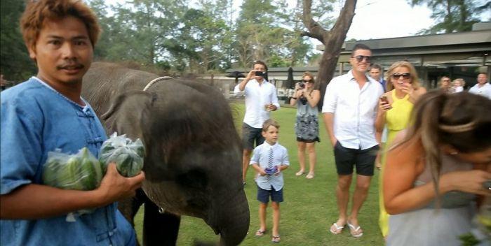 Toţi invitaţii au încremenit când au văzut cine a întrerupt nunta. Mireasa nu mai ştia cum să reacţioneze 230413