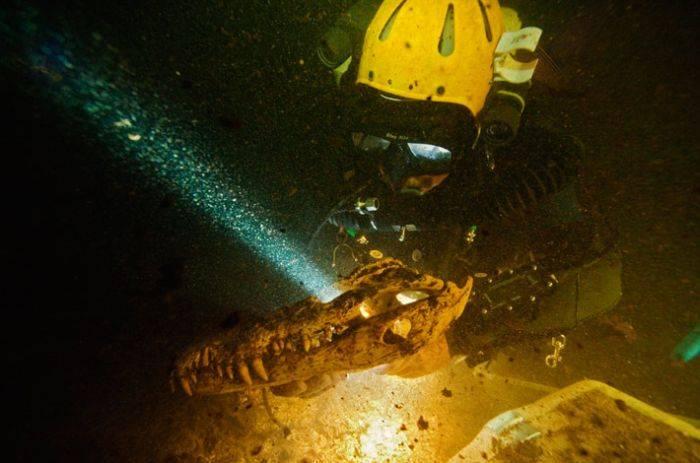 O lume UNICĂ, descoperită în apropiere de Bahamas. Ce au găsit scafandrii când au intrat în apă 230643