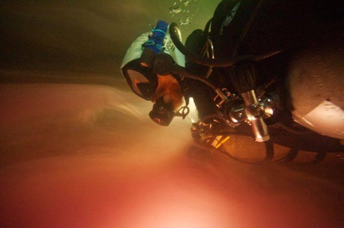 O lume UNICĂ, descoperită în apropiere de Bahamas. Ce au găsit scafandrii când au intrat în apă 230648