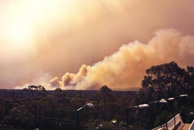 IPOTEZĂ ŞOCANTĂ. Incendiile din Australia sunt PROVOCATE