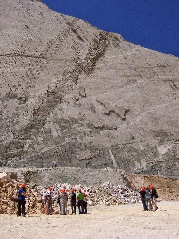 Descoperire IMPRESIONANTĂ în Bolivia. Peste 5000 de urme lăsate de dinozauri în urmă cu 68 de milioane de ani 231664