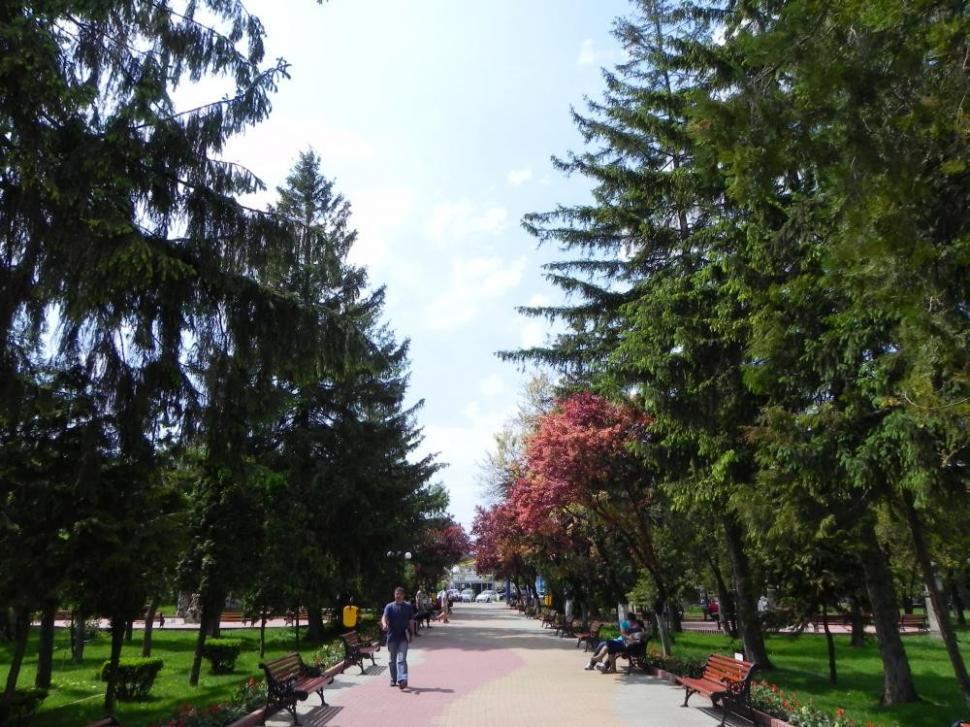 (P) Bârlad: centrul istoric şi cultural, redat publicului prin Regio 231549