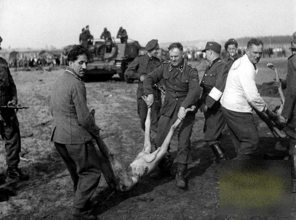 Imagini CUTREMURĂTOARE care au adus BLESTEMUL asupra celei mai puternice ţări din Europa 232077