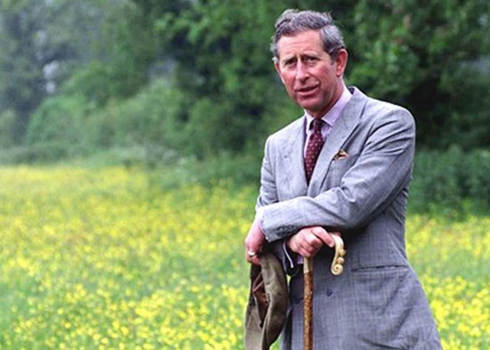 Such beautiful words to describe our country, uttered by Prince Charles: &quot;Romania is a wonderful country with remarkable people&quot;