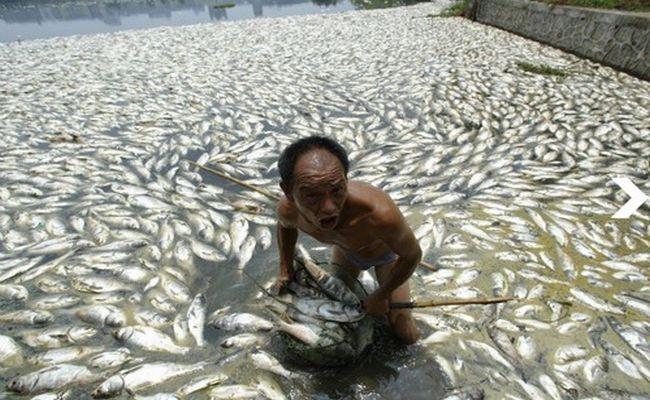 Creşterea economică, ÎNGER şi DEMON. Efectele nocive ale industrializării din China 233817