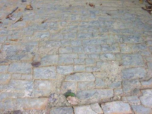 Dacă e adevărat, va fi descoperirea SECOLULUI. Ce s-a întâmplat în apropiere de România, în EPOCA de GHEAŢĂ 233778