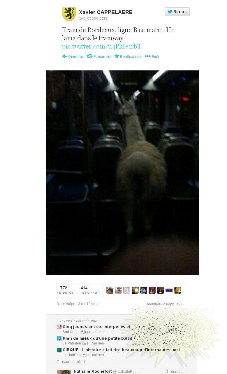 Fotografia asta i-a băgat pe TOŢI în ÎNCHISOARE. Ce au făcut nişte tineri francezi după o seară de beţie, în mijlocul oraşului 233959