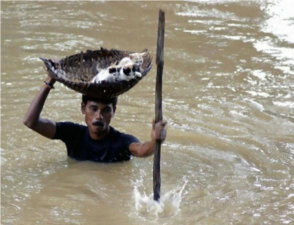 Imaginea ŞOCANTĂ care scoate la suprafaţă ororile războiului. "Zgâriau pereţii cu unghiile, implorând soldaţii să le dea drumul" 234628