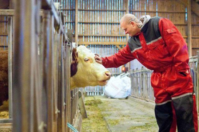 Văzută din satelit, pare Paradisul. Nu ai vrea niciodată să pui piciorul pe această insulă 234943