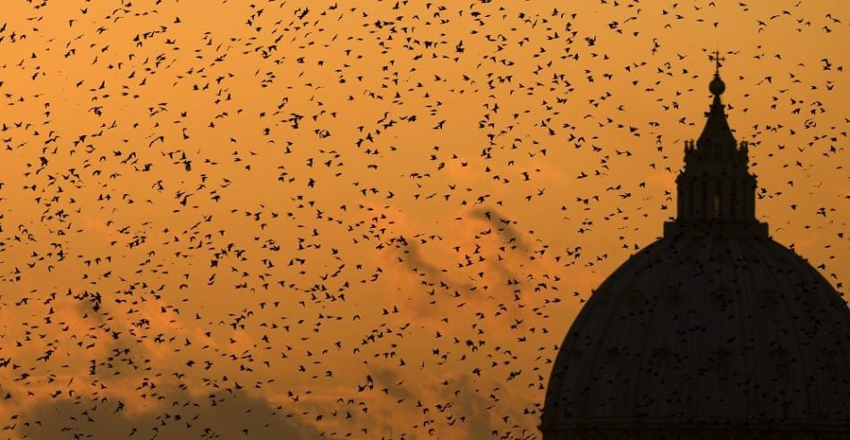 Oamenii sunt disperaţi. Ce se vede de trei zile deasupra Vaticanului şi Romei 235955