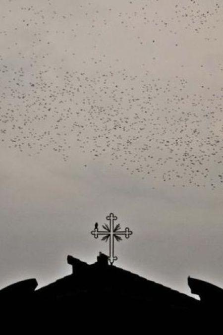 Oamenii sunt disperaţi. Ce se vede de trei zile deasupra Vaticanului şi Romei 235957