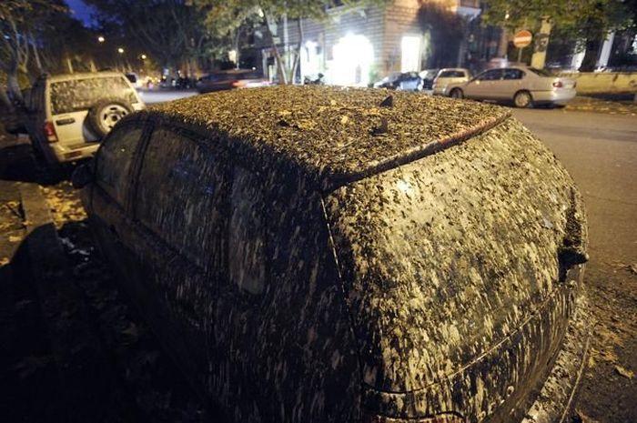 Oamenii sunt disperaţi. Ce se vede de trei zile deasupra Vaticanului şi Romei 235960